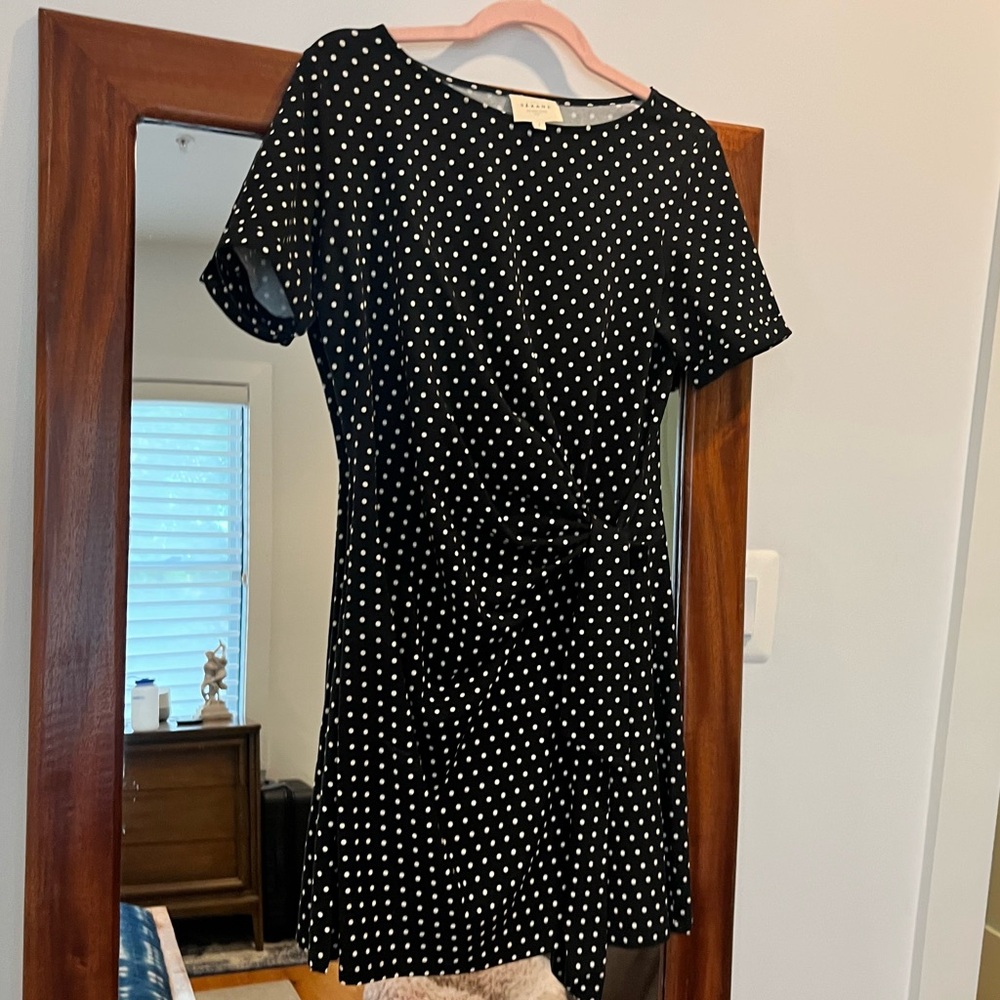 Sezane Black and White Polka Dot Pippa Short Dress